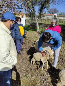 Clientes do CAARPD interagem com cão-pastor e rebanho nas instalações da A2000
