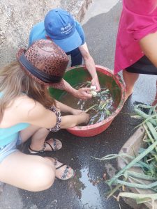 Clientes do CAARPD fazem atividades ao ar livre