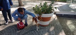 Clientes do CAARPD fazem atividades ao ar livre