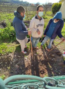 CAARPD Poiares - Clientes em atividades na horta