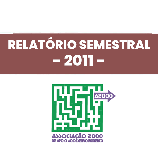 icon-relatorio-semestral---2011