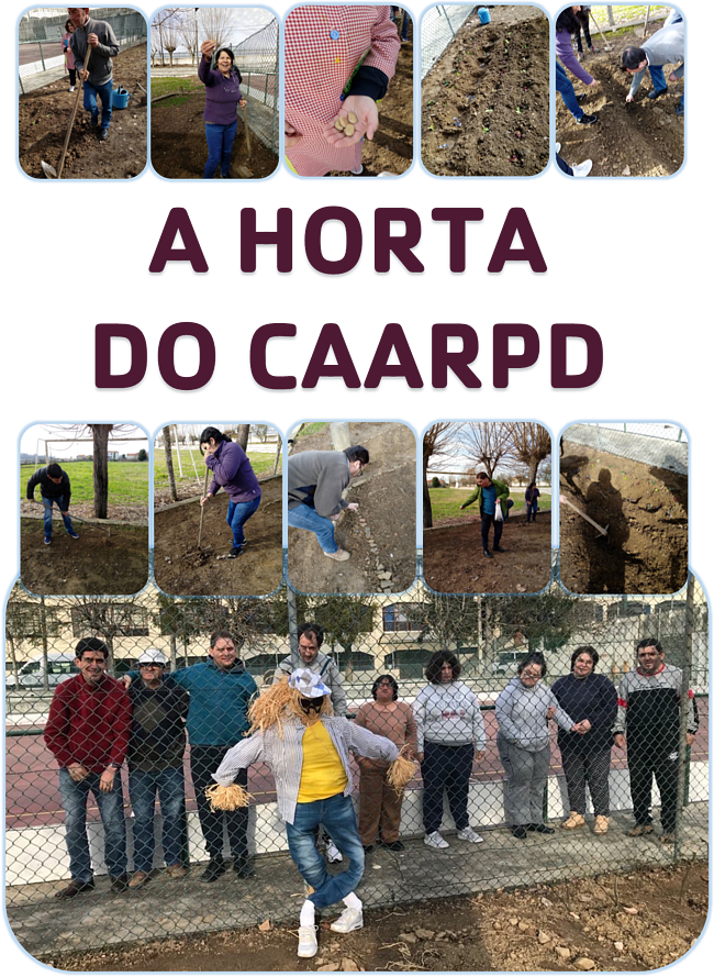 Imagens dos clientes do CAARPD a cultivar na sua horta
