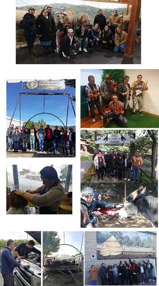 Atividades dos clientes do projeto