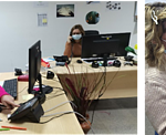 Técnicas do CLDS atendem telefones no escritório