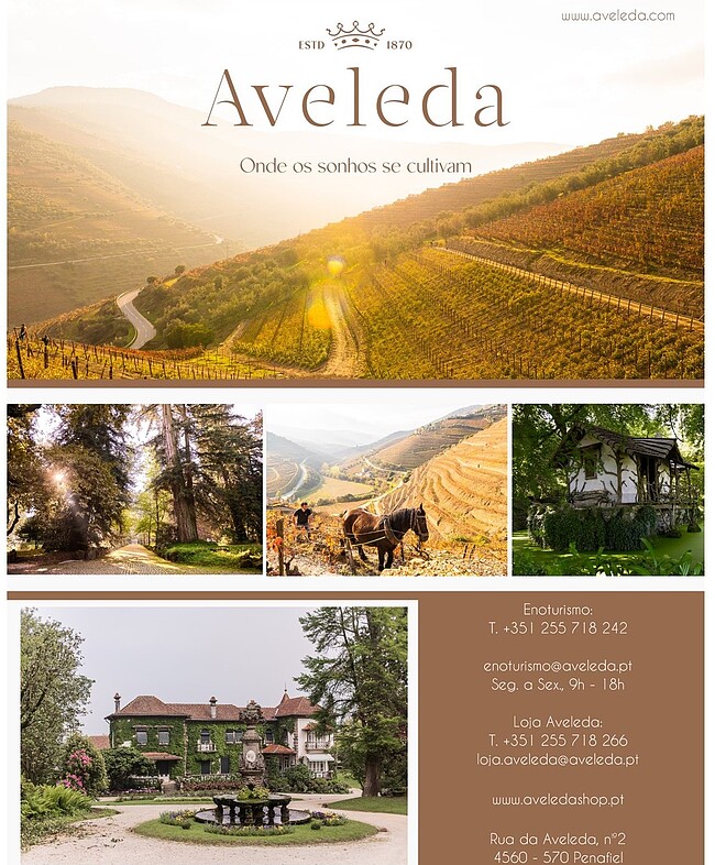 Maquete Quinta da Aveleda