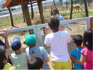 Férias Ativas - Visitas e passeios